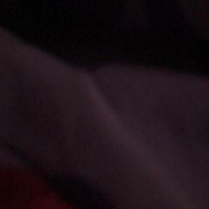 Meet your Posher, Zoey